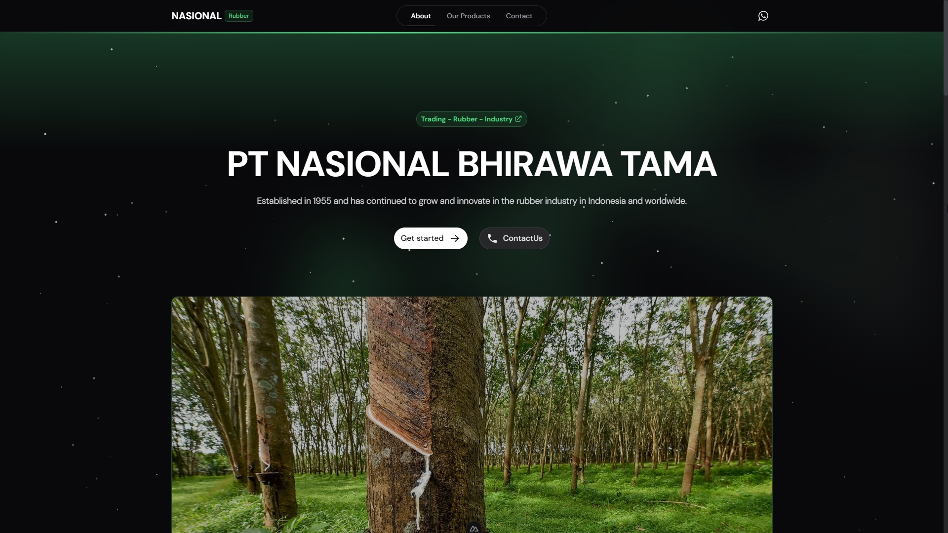 nasionalrubber.co.id